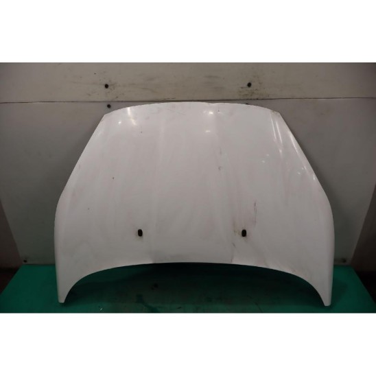 cofano para FORD Fiesta Vi (cb1, Ccn) 1.4 16V (71kw) GPL Ber. 5p/b-g/1388cc 