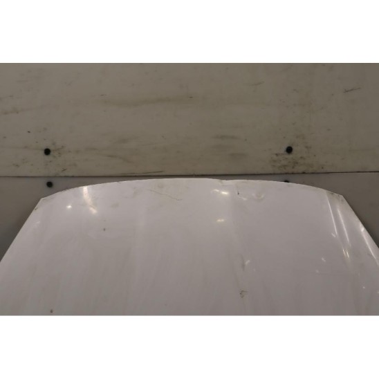 cofano para FORD Fiesta Vi (cb1, Ccn) 1.4 16V (71kw) GPL Ber. 5p/b-g/1388cc 