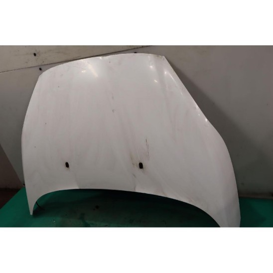 cofano para FORD Fiesta Vi (cb1, Ccn) 1.4 16V (71kw) GPL Ber. 5p/b-g/1388cc 