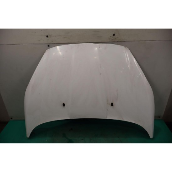 cofano para FORD Fiesta Vi (cb1, Ccn) 1.4 16V (71kw) GPL Ber. 5p/b-g/1388cc 