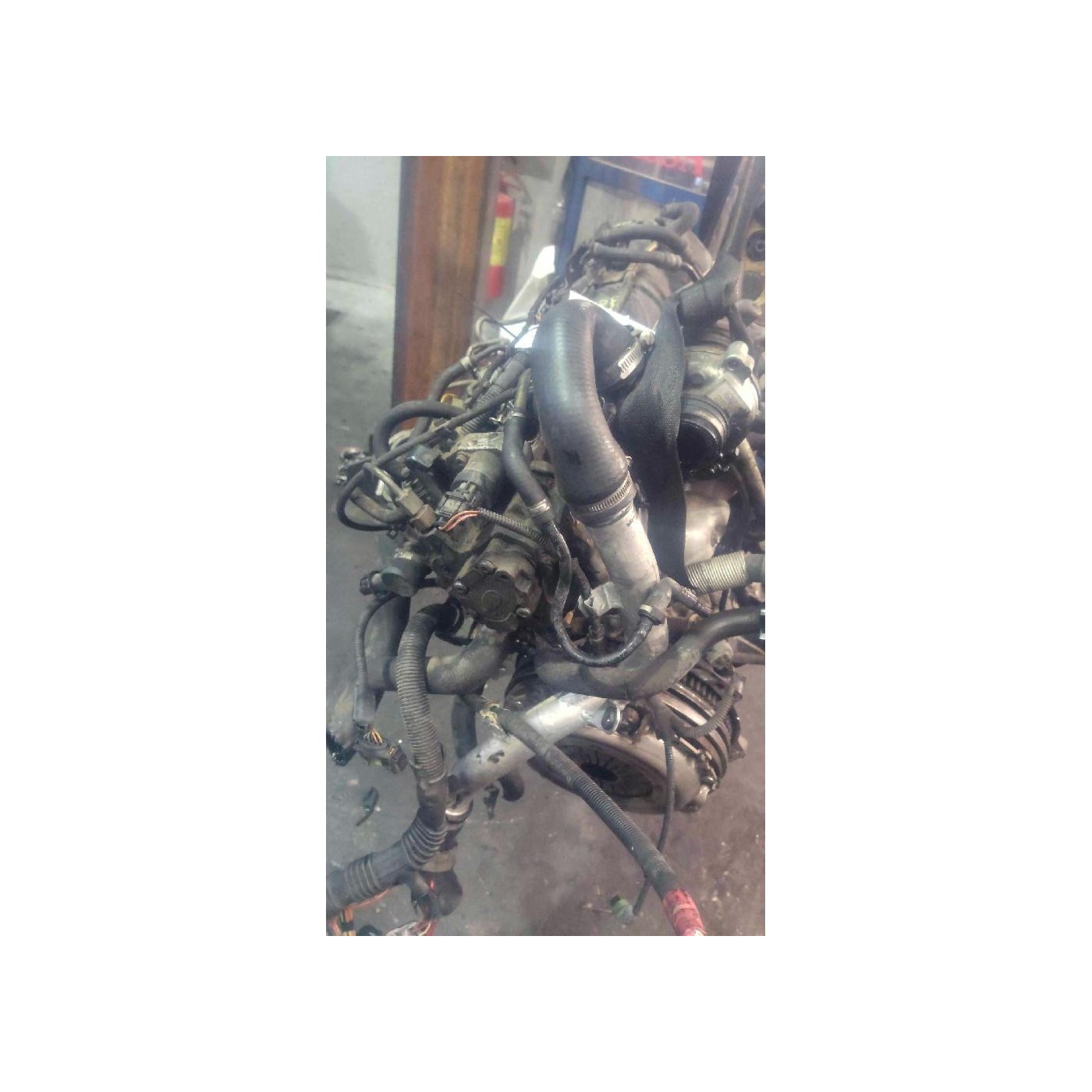 motore motore